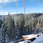 Palace Apartment Pamporovo
