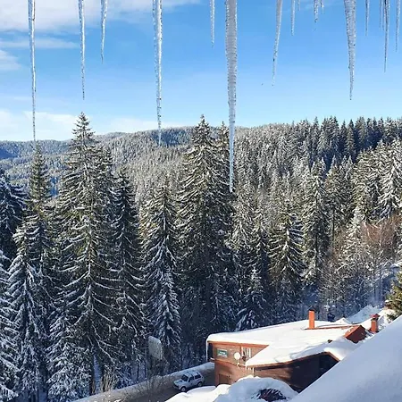 Palace Apartment Pamporovo