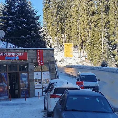 Palace 公寓 潘波洛沃