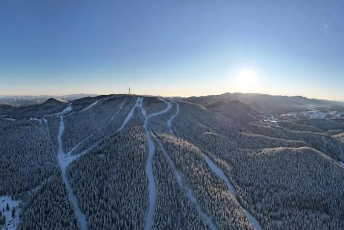 Palace * 潘波洛沃