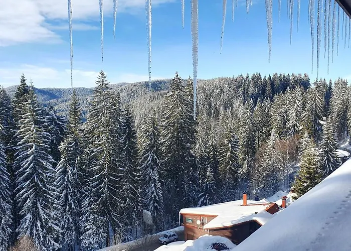 Palace 公寓 潘波洛沃