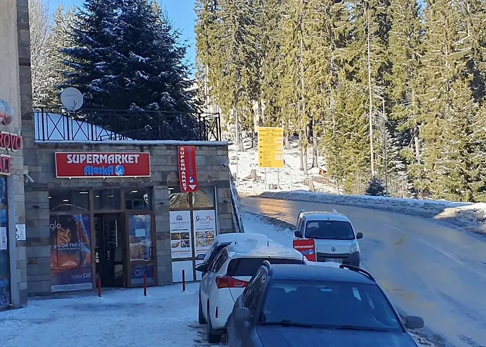 Palace 公寓 潘波洛沃